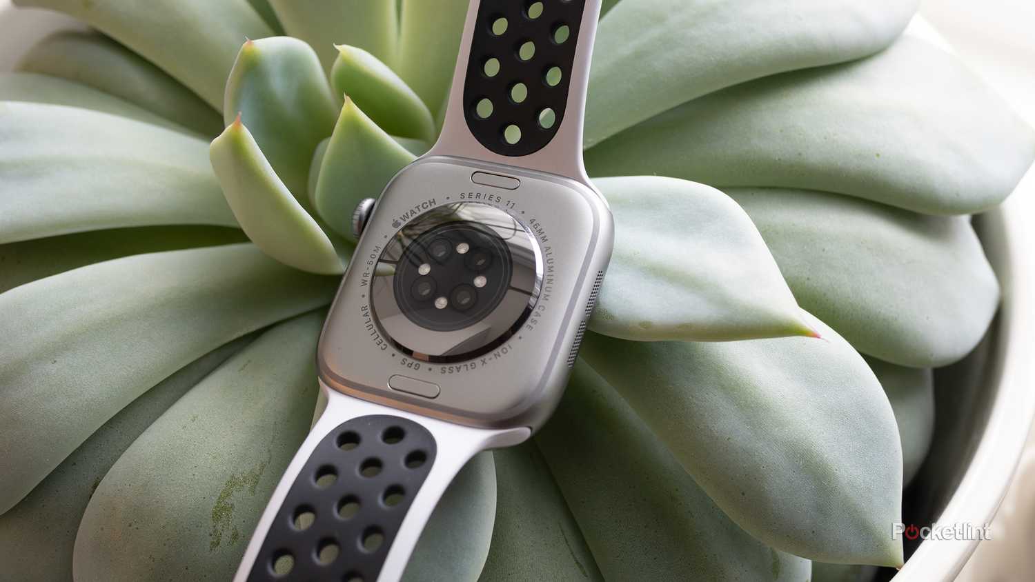 The back of the Apple Watch Series 11