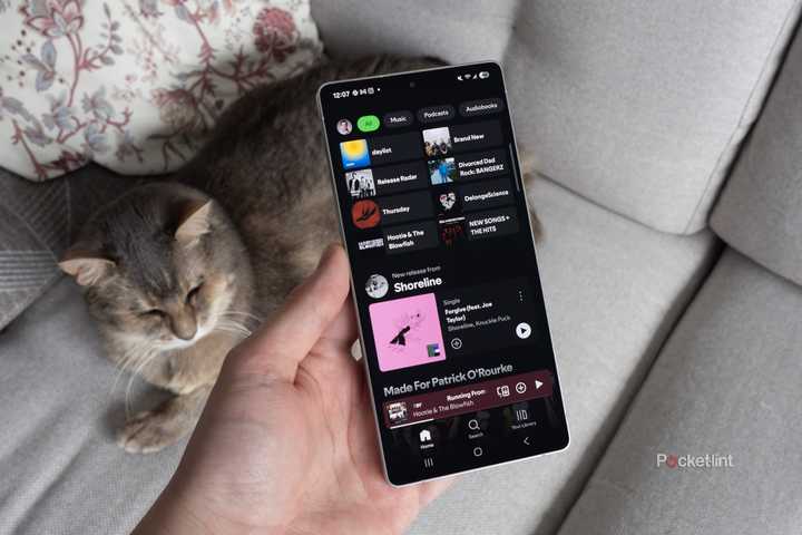 Galaxy S25 Ultra Spotify above a cat laying on a sofa. 