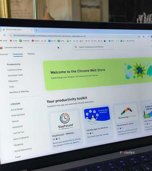 The Chrome Web Store on browser. 
