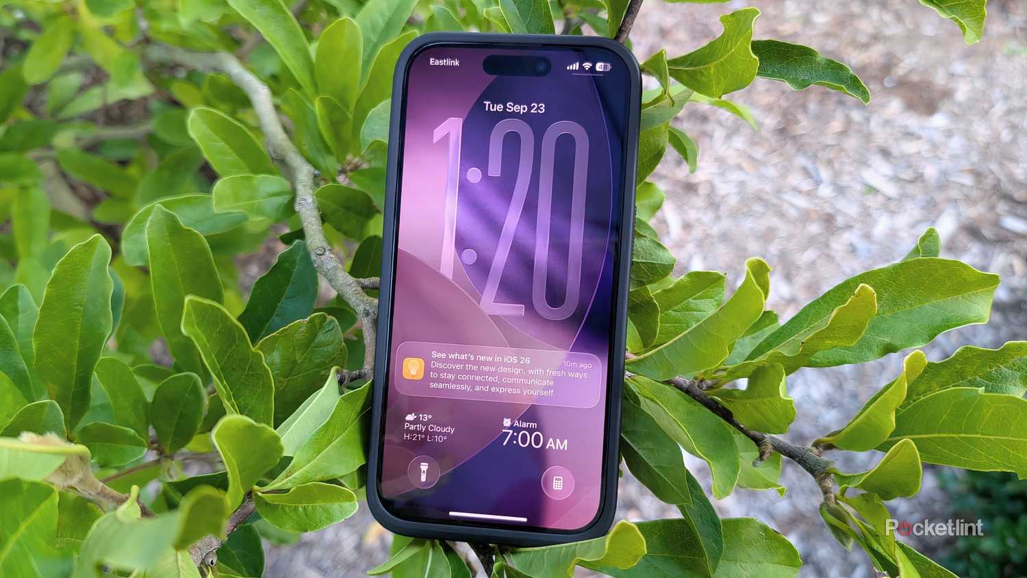 An iPhone on a bush running iOS 26.