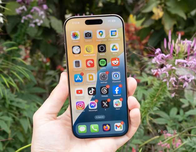 iPhone 16 Pro in front of flowers