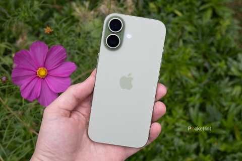 The back of the sage iPhone 17 