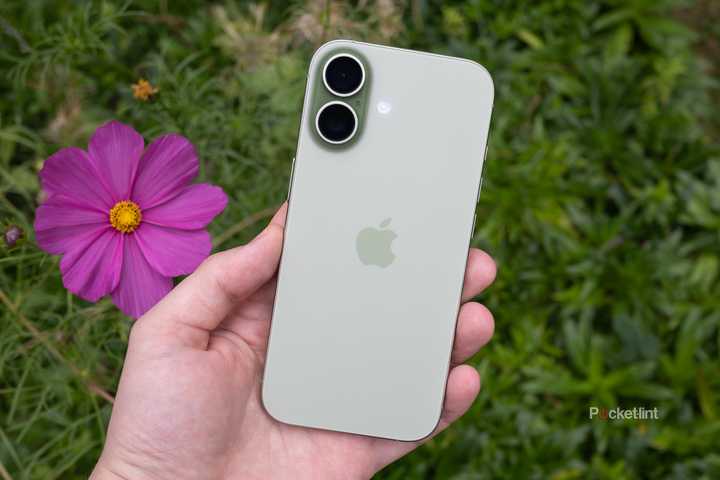 The back of the sage iPhone 17 