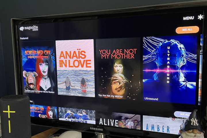 Magnolia selects on a TV.