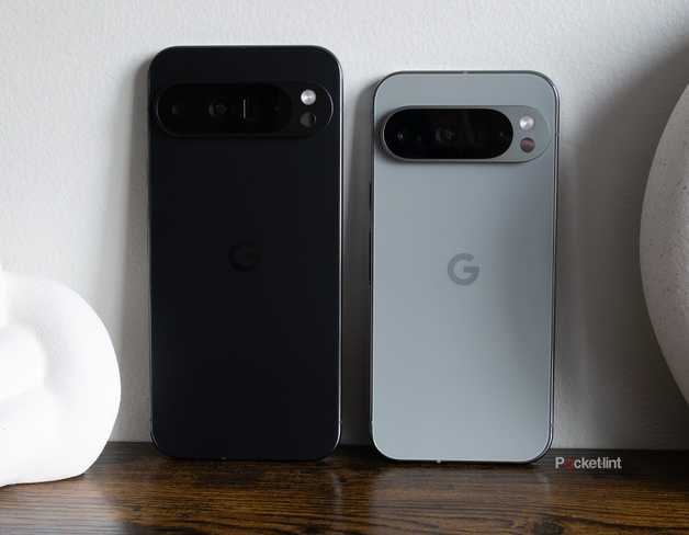 The Pixel 9 Pro and the Pixel 9 Pro XL 