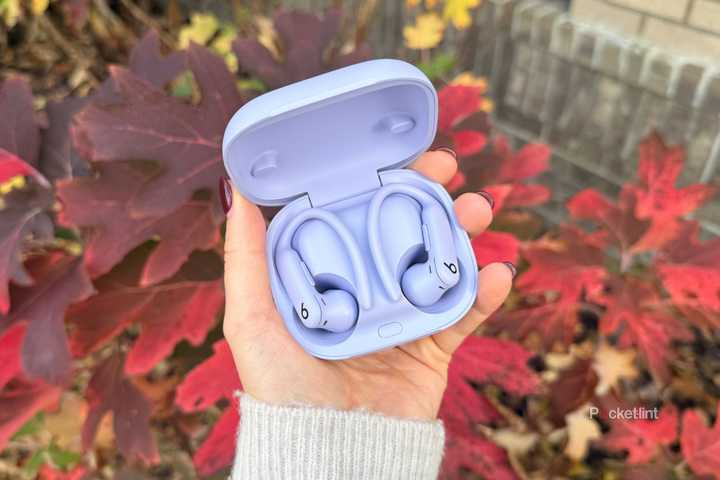 Purple Powerbeats Pro 2 headphones in case. 
