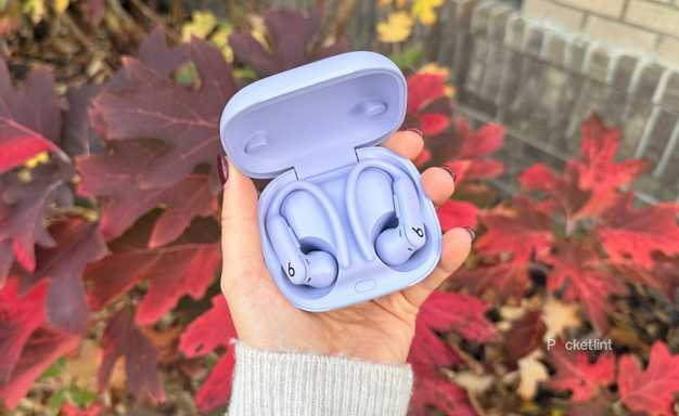 Purple Powerbeats Pro 2 headphones in case. 