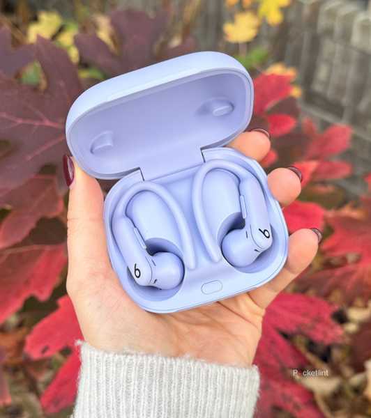 Purple Powerbeats Pro 2 headphones in case. 
