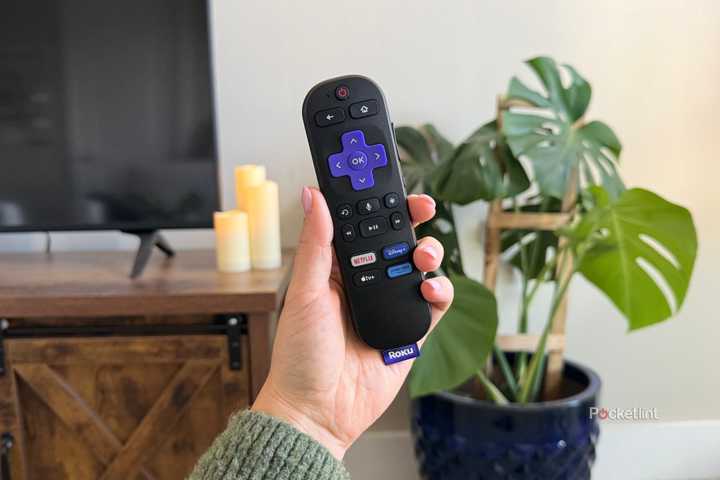 Roku buttons. 