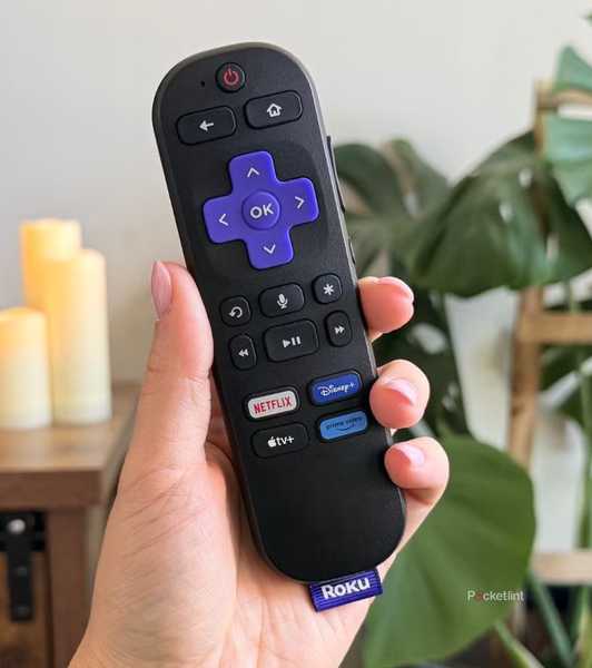 Person holding Roku remote.