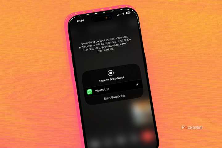 screen share in the WhatsApp mobile app on colorful background