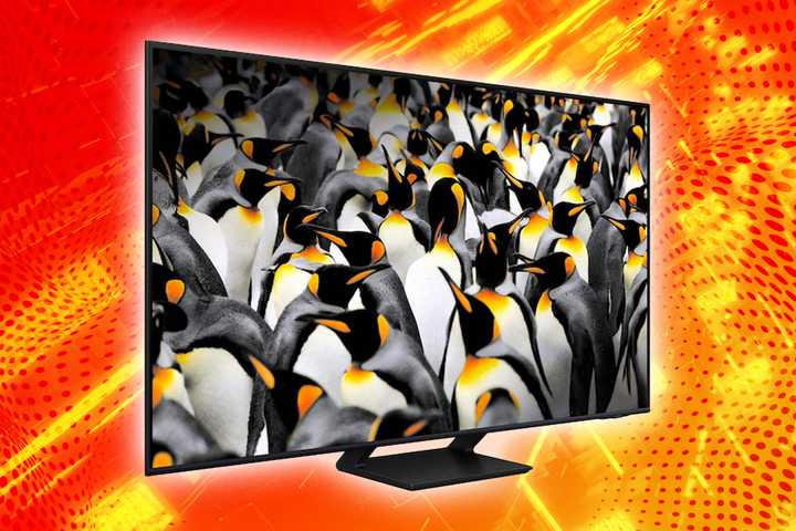 Penguins on a TV. 