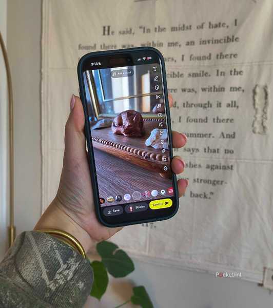 Someone taking a Snapchat. 