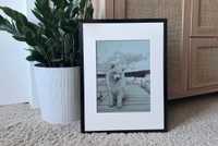 AI pencil-drawn dog on frame. 