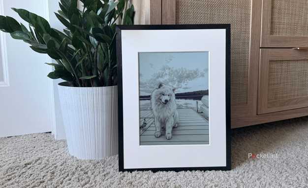 AI pencil-drawn dog on frame. 