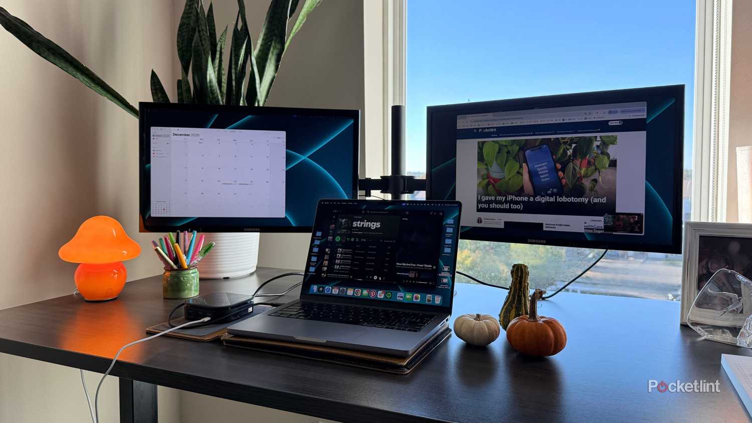 A dual monitor display set up. 