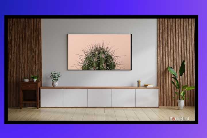 tv with cactus